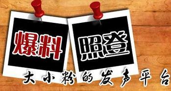 重庆新闻最新爆料,揭秘某神秘项目，背后真相令人震惊！